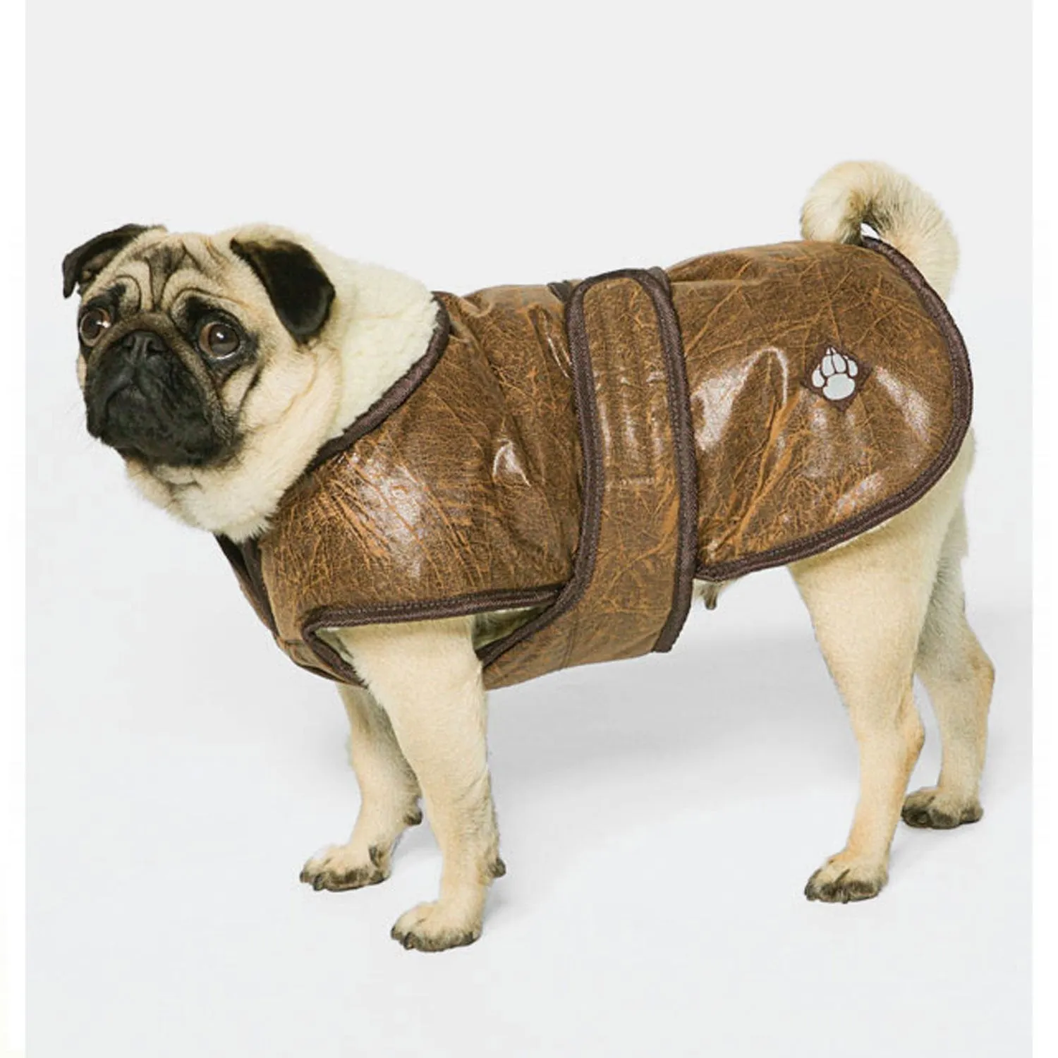 Danish Design Waggles Original Flying Jacket Dog Coat